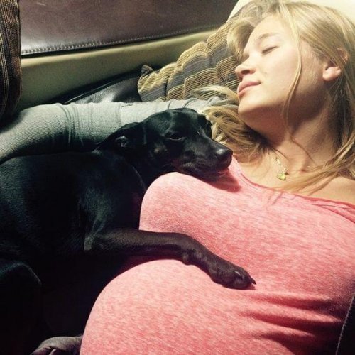 Gravid kvinne og hund