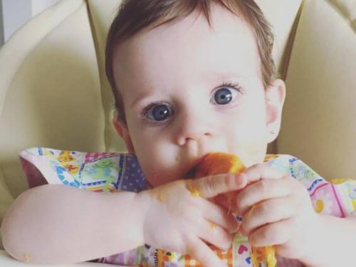 Forslag til tilleggsføde