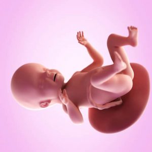 Gravid uke 26