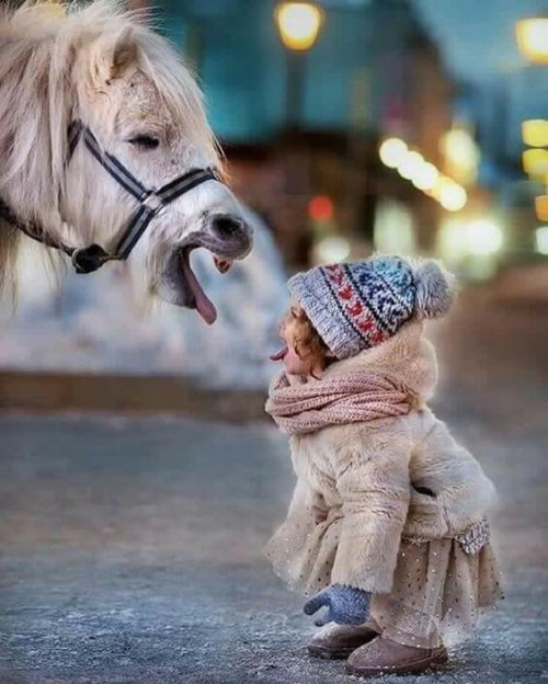 Et barn som leker med en hest