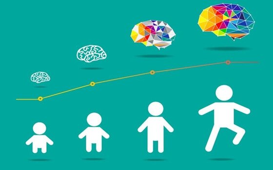 barns hjerne utvikling