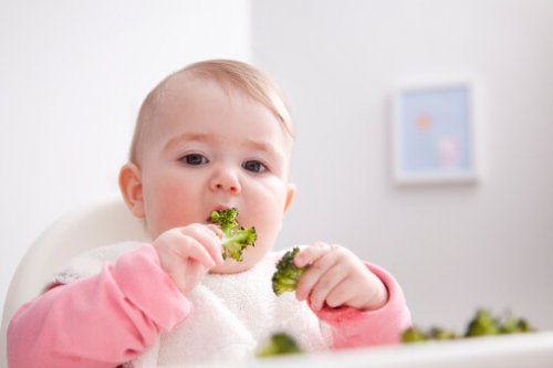 baby spiser brokkoli
