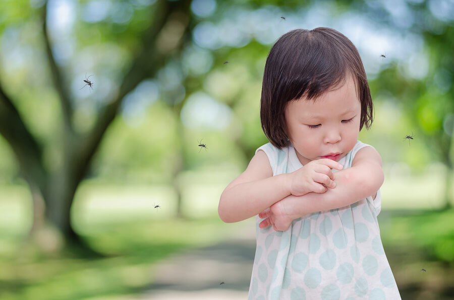 Hvorfor barnet ditt alltid får myggstikk