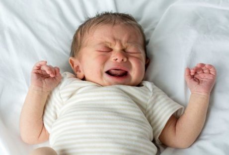 roe ned babyen din