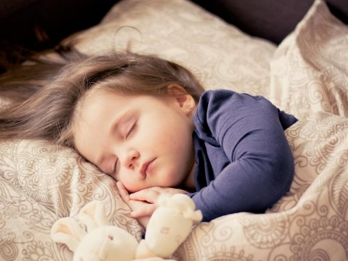 Barn liker å sove sammen med bamser og kosedyr.