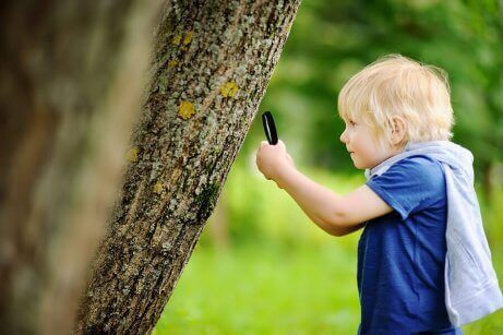 En gutt som undersøker et tre.