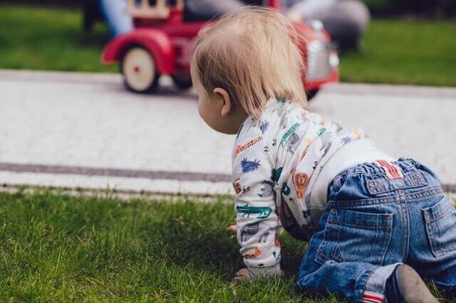 Baby krabber på gresset