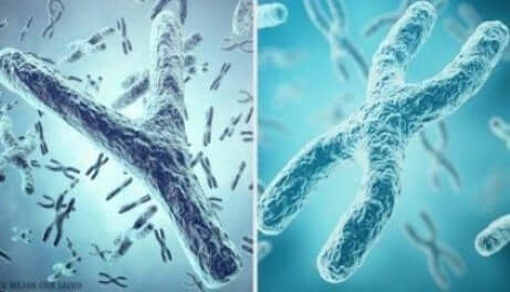 Autosomal kromosom lidelser: Hva du bør vite