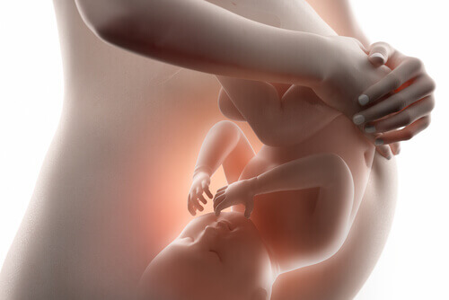 Uke 20 av graviditeten innebærer store endringer hos fosteret. 