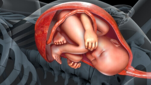 Morkaken din hjelper med babyens vekst i livmoren.