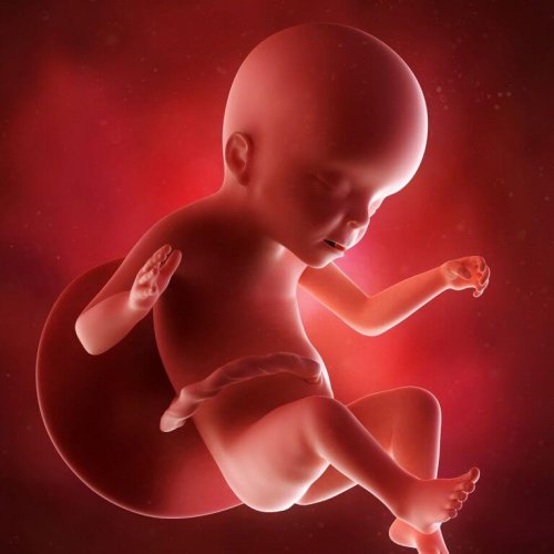 Baby i den 23. uken av svangerskapet.
