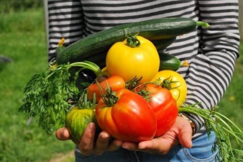 Vegetarisk kosthold.