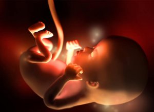 Hva som skjer i den 12. svangerskapsuken