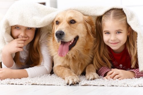 Kjæledyr: Hvorfor er barn så tiltrukket av dyr?