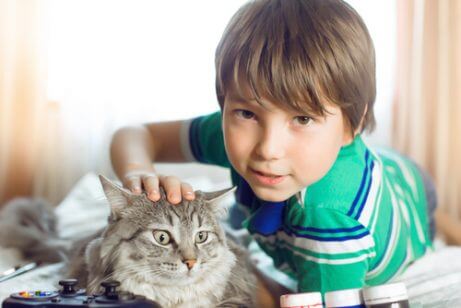 Ut av alle terapidyr valgte denne gutten en katt