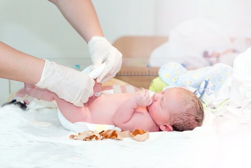 Når bør man klippe navlestrengen etter fødselen?