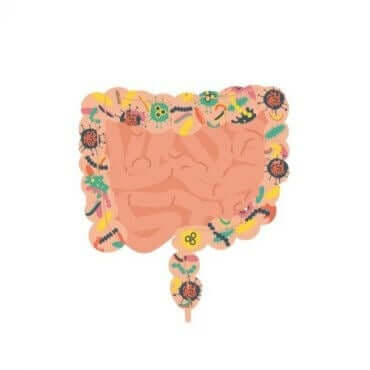 Hva er en fekal transplantasjon, og når anbefales det?