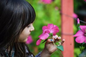 Botanikkundervisning for barn: Nyttige tips