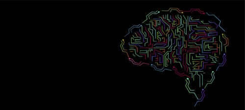 Begrepet intelligens og dets utvikling