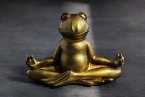 Frosketeknikken: En øvelse for barns selvkontroll