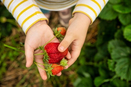 3 veldig næringsrike oppskrifter med jordbær for barn