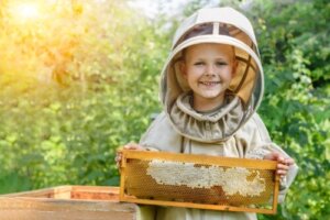 4 fordeler med honning for barn