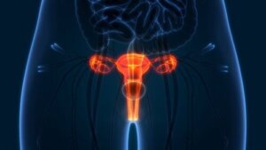 Hvordan sjekke livmorhalsen din?