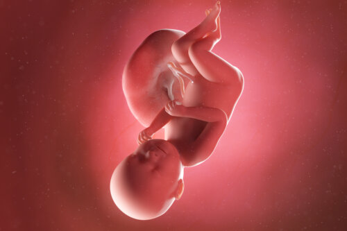 Den 38. uken i svangerskapet: Symptomer, babyens utvikling og anbefalinger